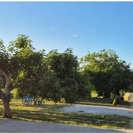 Near Centar For 2+1 At Pula, With Garden And Free Parking Apartment Pula