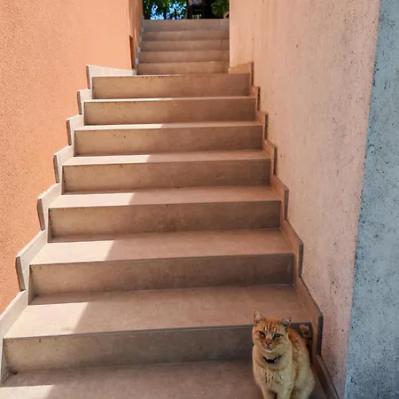 Near Centar For 2+1 At Pula, With Garden And Free Parking