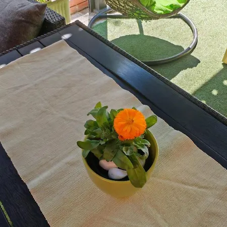 Near Centar For 2+1 At Pula, With Garden And Free Parking